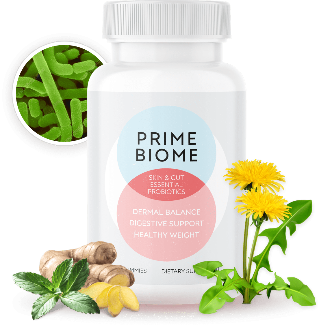 PrimeBiome supplement